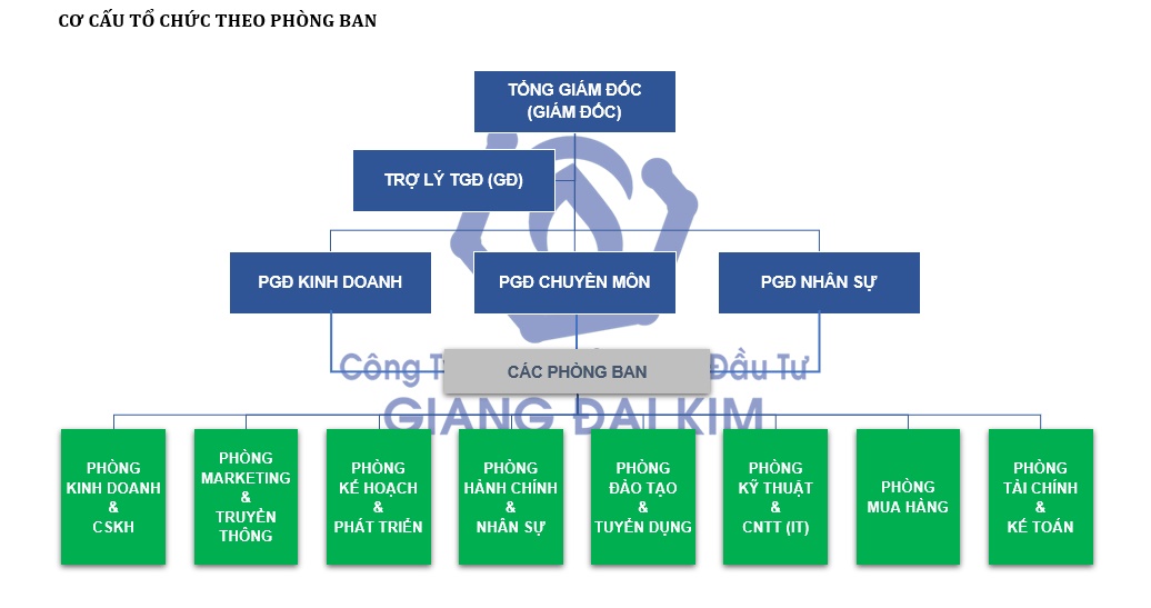 co cau to chuc cong ty giang dai kim 1